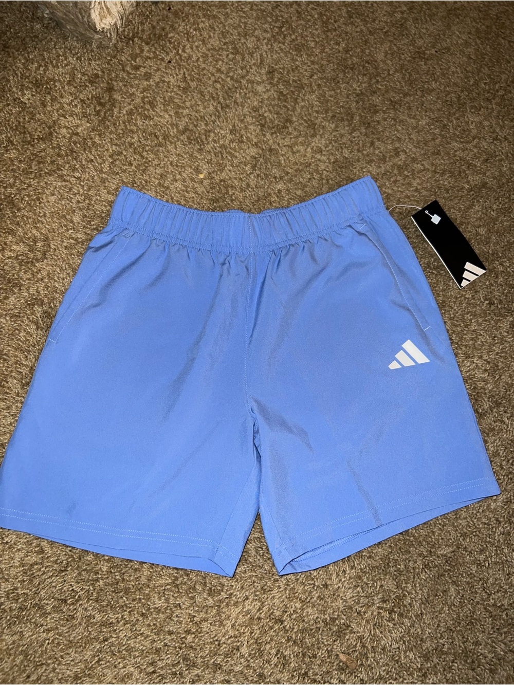 adidas kids Light Blue Athletic Shorts with Logo